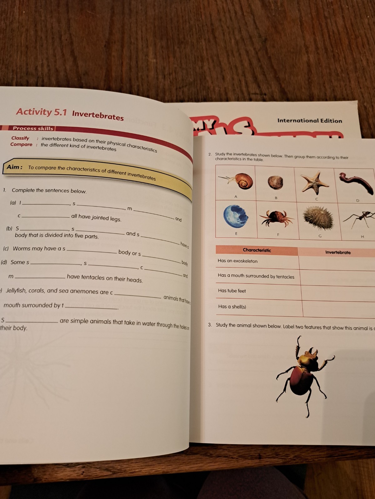 Lot of 3 My Pals Are Here SCIENCE Activity Book Level/Grade 4 & 5 NEW homeschool