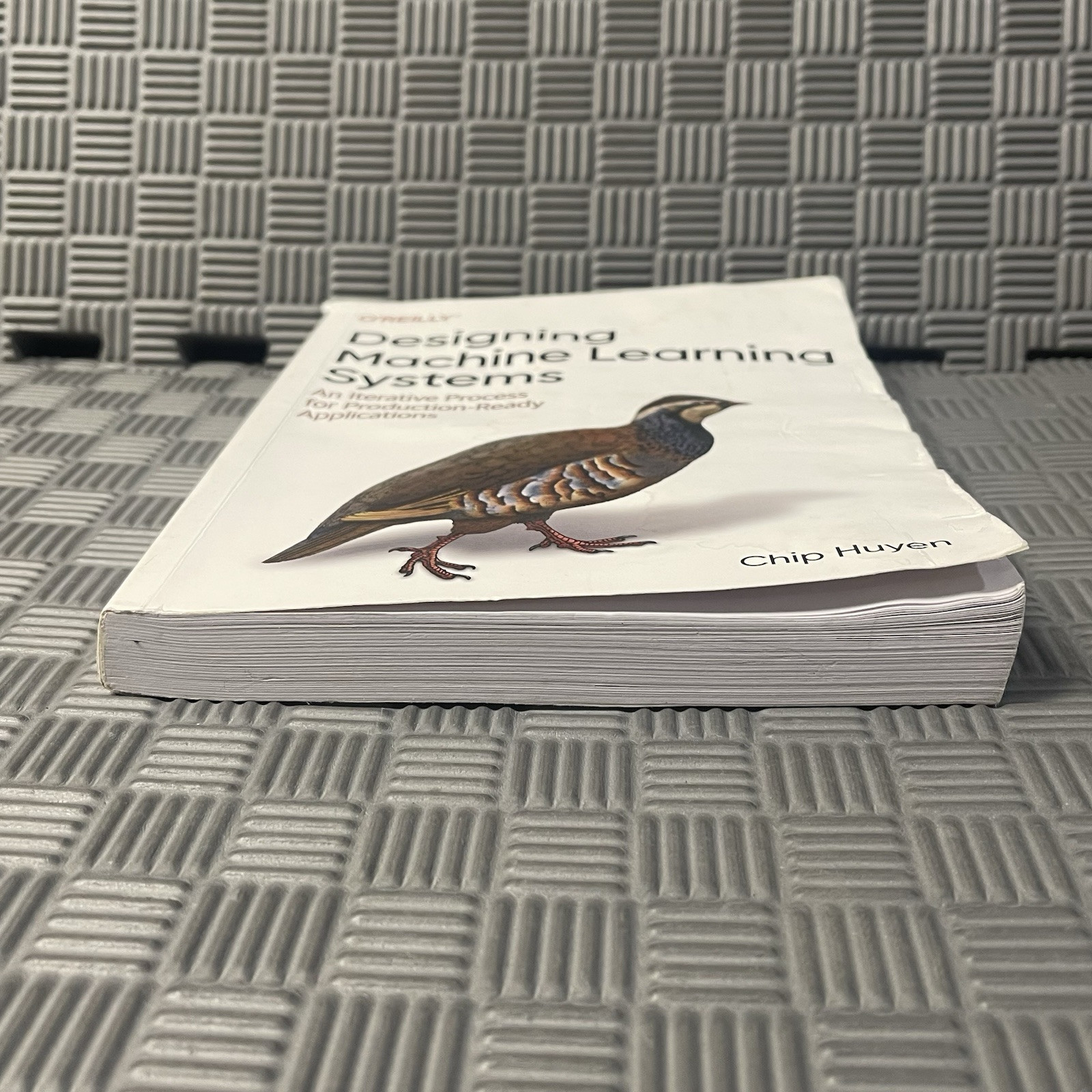 Designing Machine Learning Systems : An Iterative Process for…