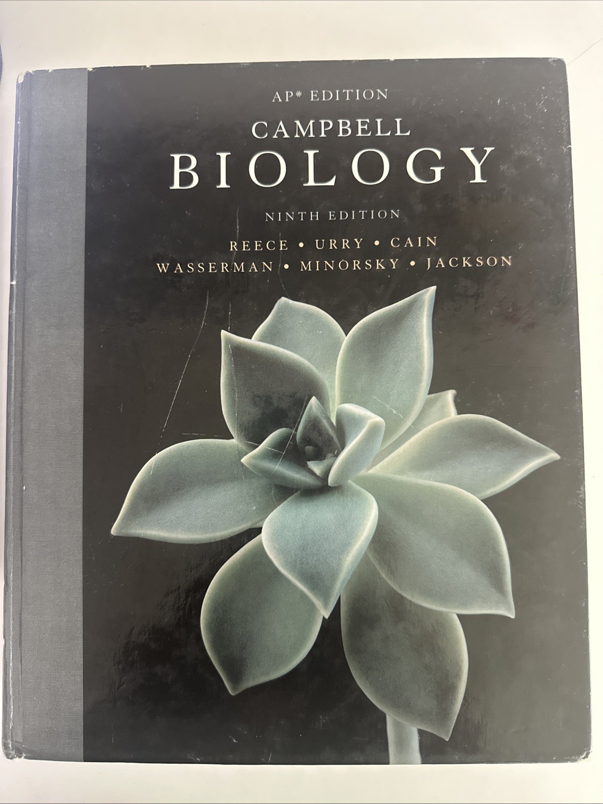 Campbell Biology by Peter V. Minorsky, Robert B. Jackson, Michael L. Cain, Lisa