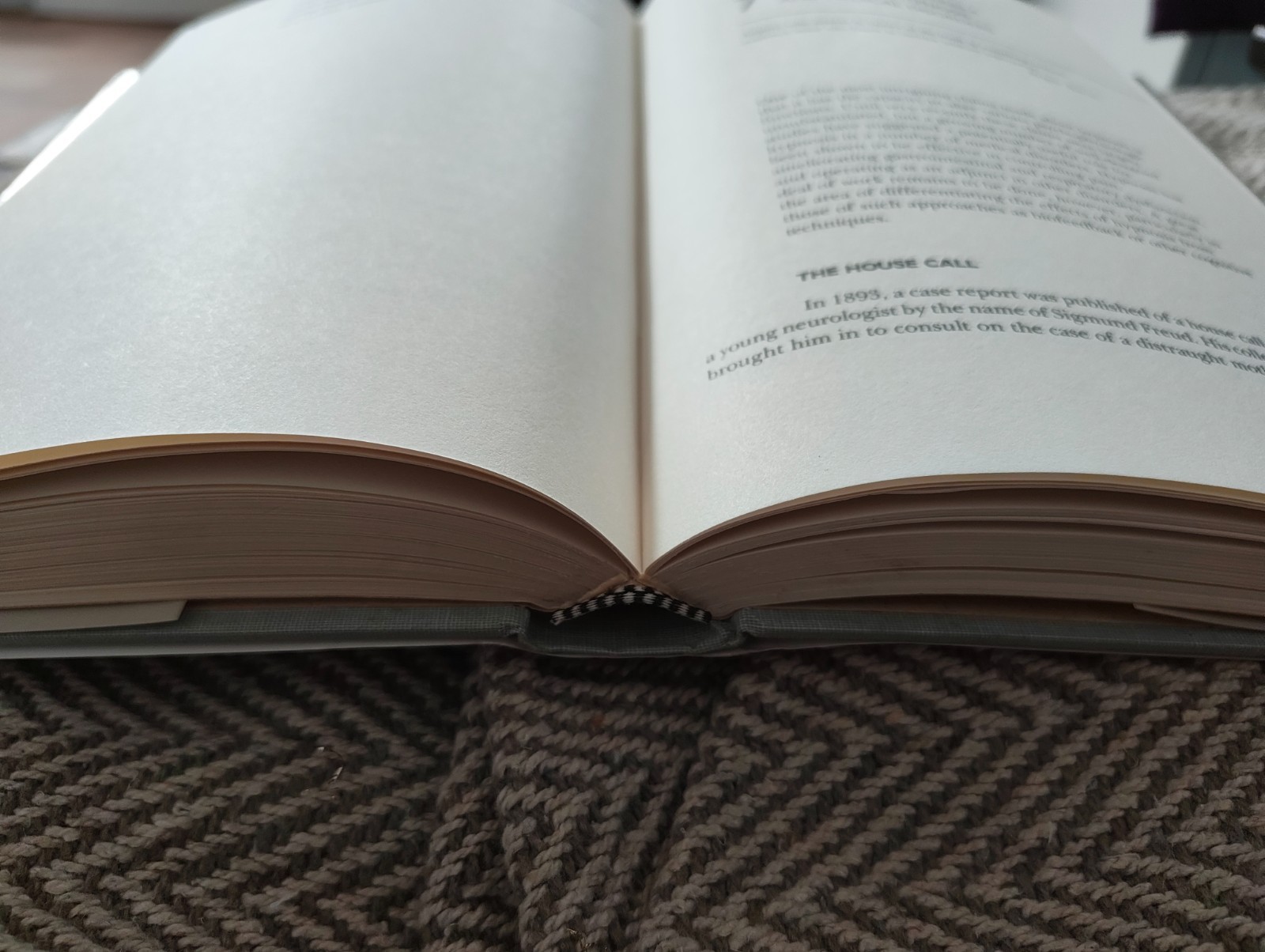 Hypnotic Brain : Hypnotherapy and Social Communication by Peter Brown (1991)