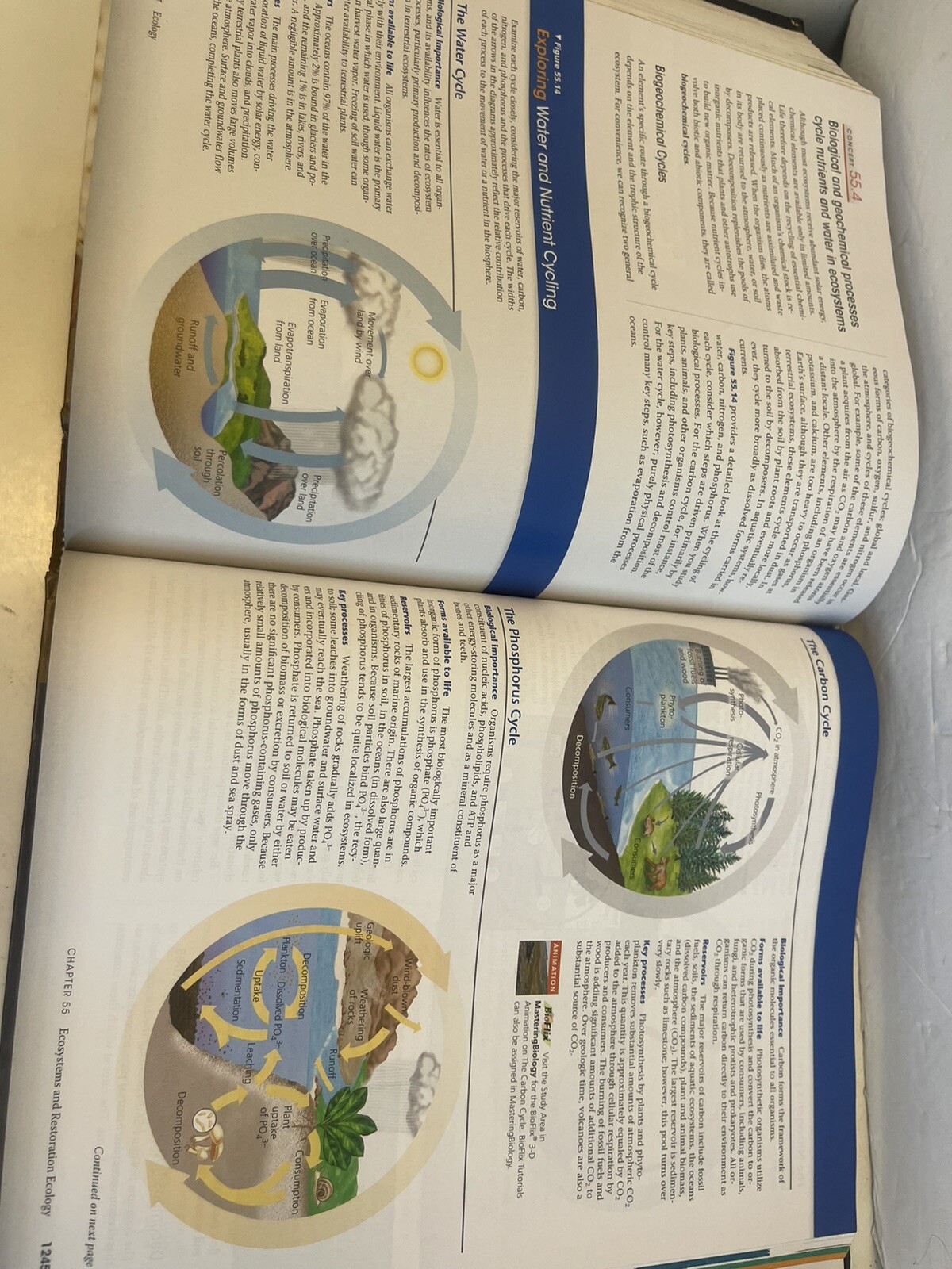 Campbell Biology by Lisa A. Urry, Peter V. Minorsky, Robert B. Jackson, Michael