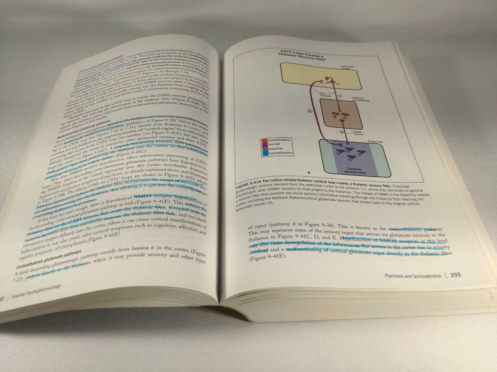 STAHL’S ESSENTIAL PSYCHOPHARMACOLOGY: NEUROSCIENTIFIC By Stephen M. Stahl