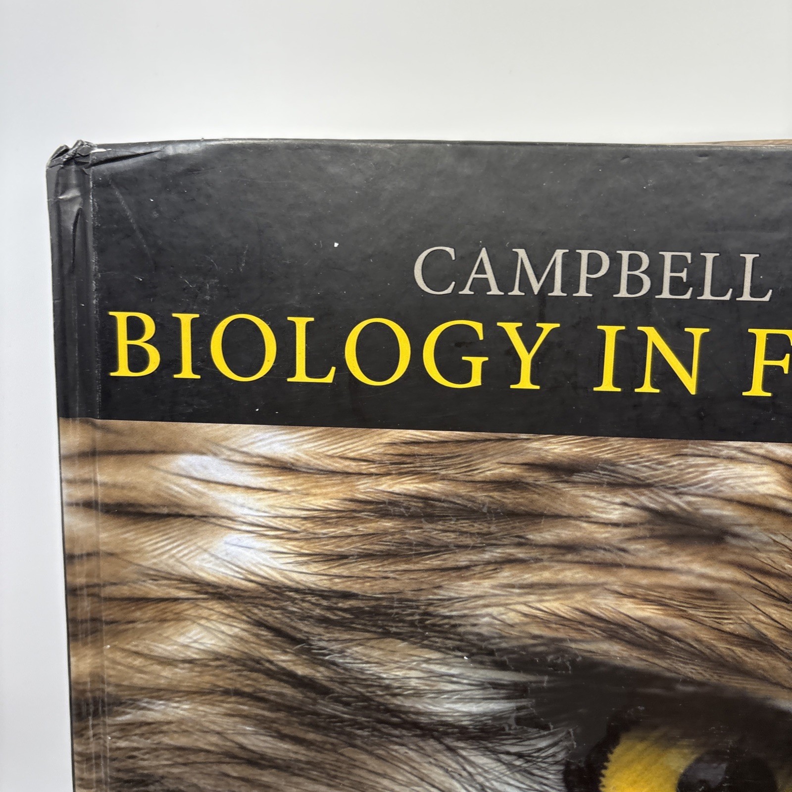 Campbell Biology in Focus by Peter V. Minorsky, Michael L. Cain, Lisa A….