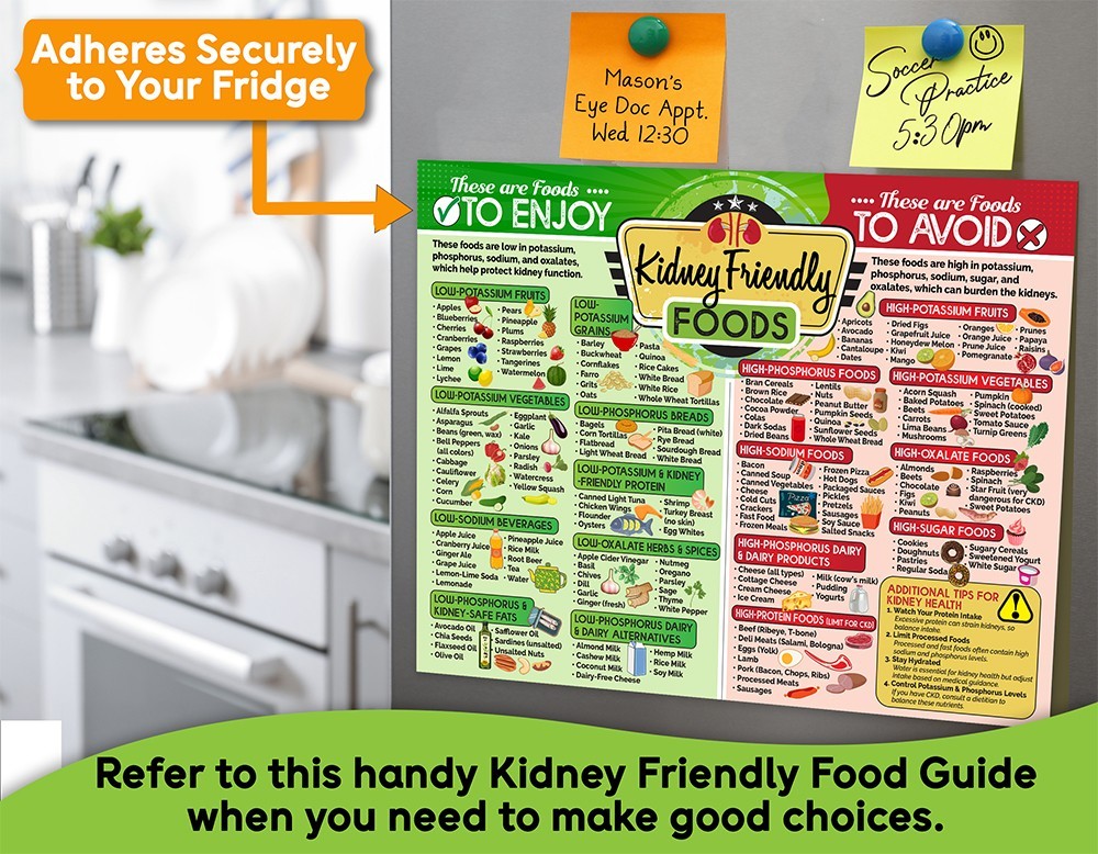 Kidney-Friendly Foods 8.5×11 Magnet –Renal Diet Chart Nutrition Guide for Fridge