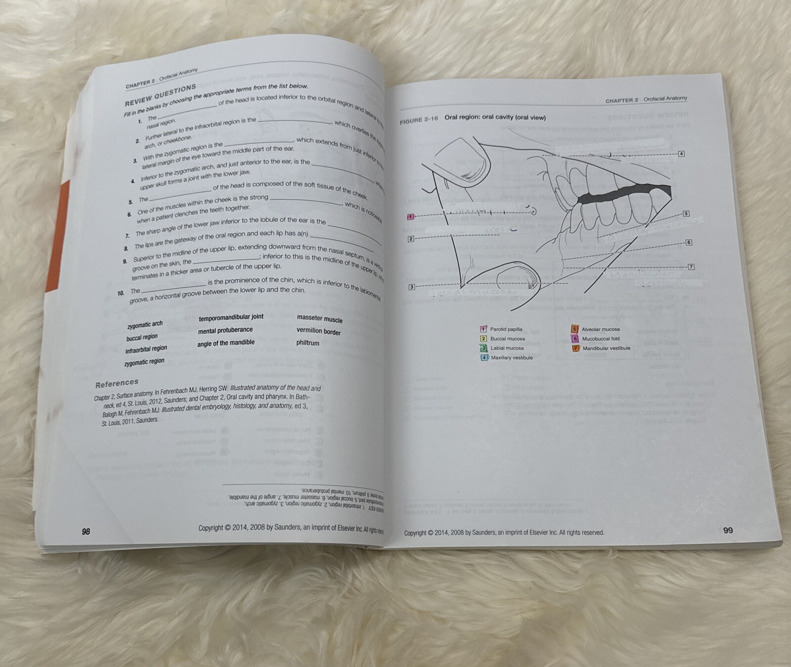 Dental Anatomy Coloring Book 2nd Edition 978-1-4557-4589-0+US SELLER+FREE SHIP