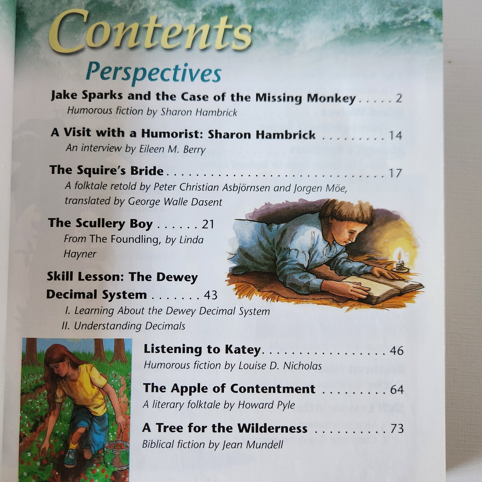 BOB JONES UNIVERSITY BJU Reading 6 As Full as the World 2nd Ed 2003 Homeschool
