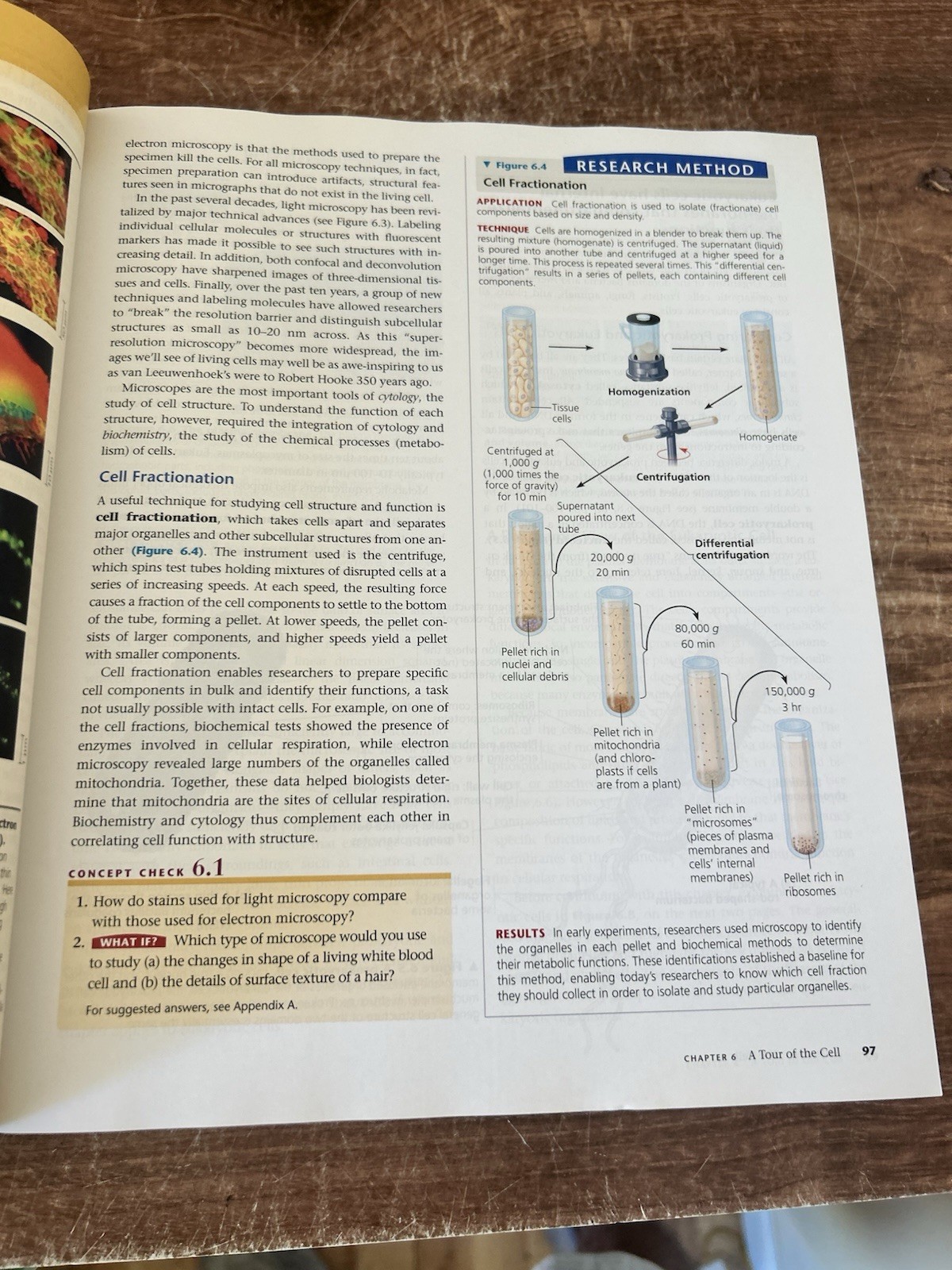 Campbell Biology (9th Edition) – Hardcover By Reece, Jane B – LIKE NEW