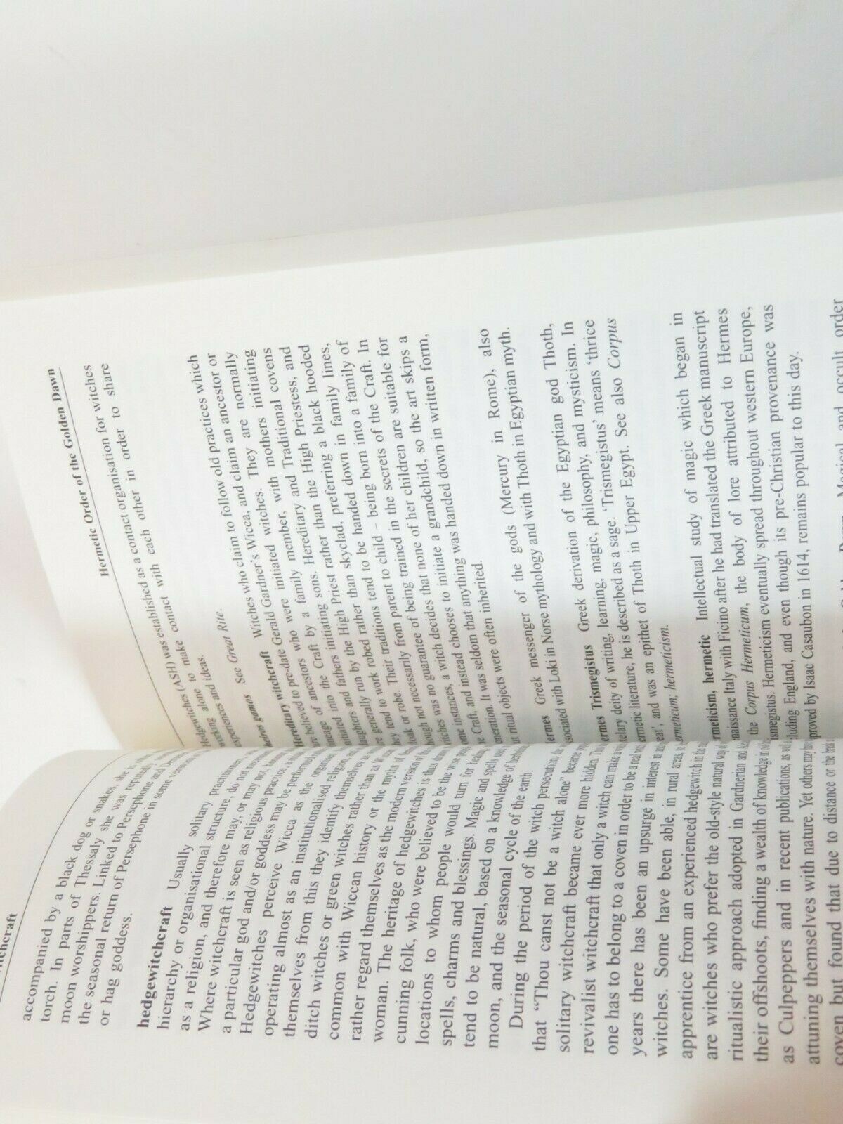 A Popular Dictionary of Paganism by Joanne Pearson (2002, UK-B Format Paperback)