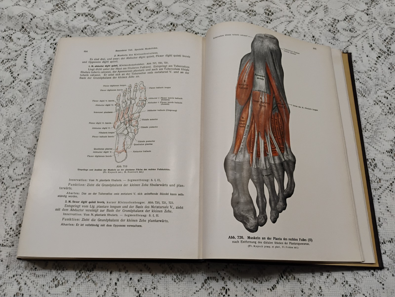 Atlas Of Human Anatomy 1952 Vol 1 In German Skeletal, Muscular General systems