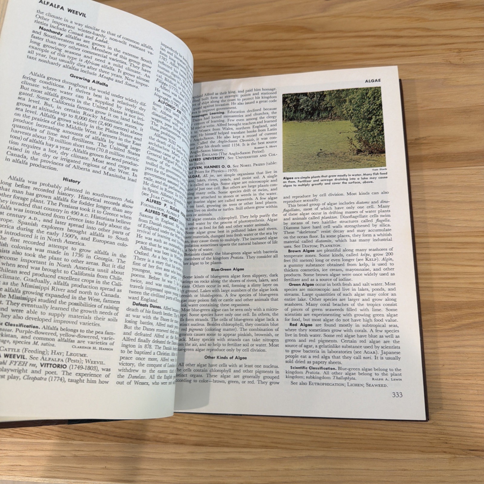 Vintage 1977 World Book Encyclopedia And Dictionary Complete Set (Volumes 1-21)