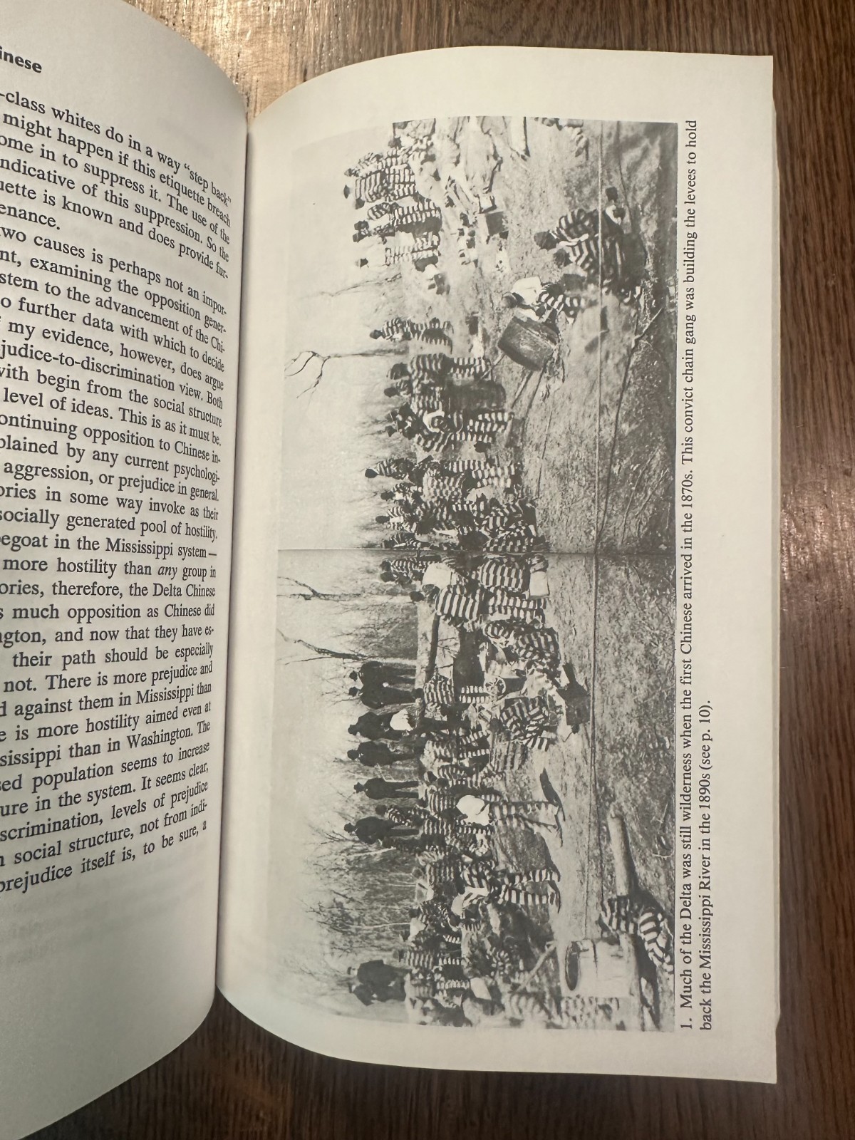 Mississippi Chinese: Between Black and White by James W. Loewen 1988 SOCIOLOGY