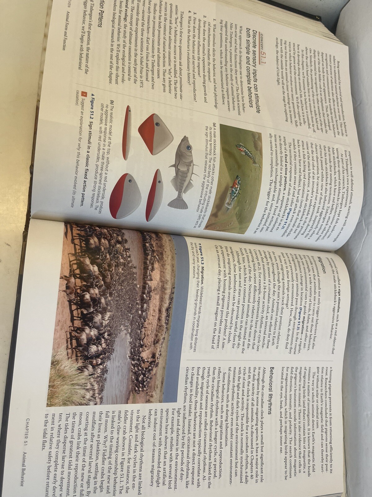 Campbell Biology by Lisa A. Urry, Peter V. Minorsky, Robert B. Jackson, Michael