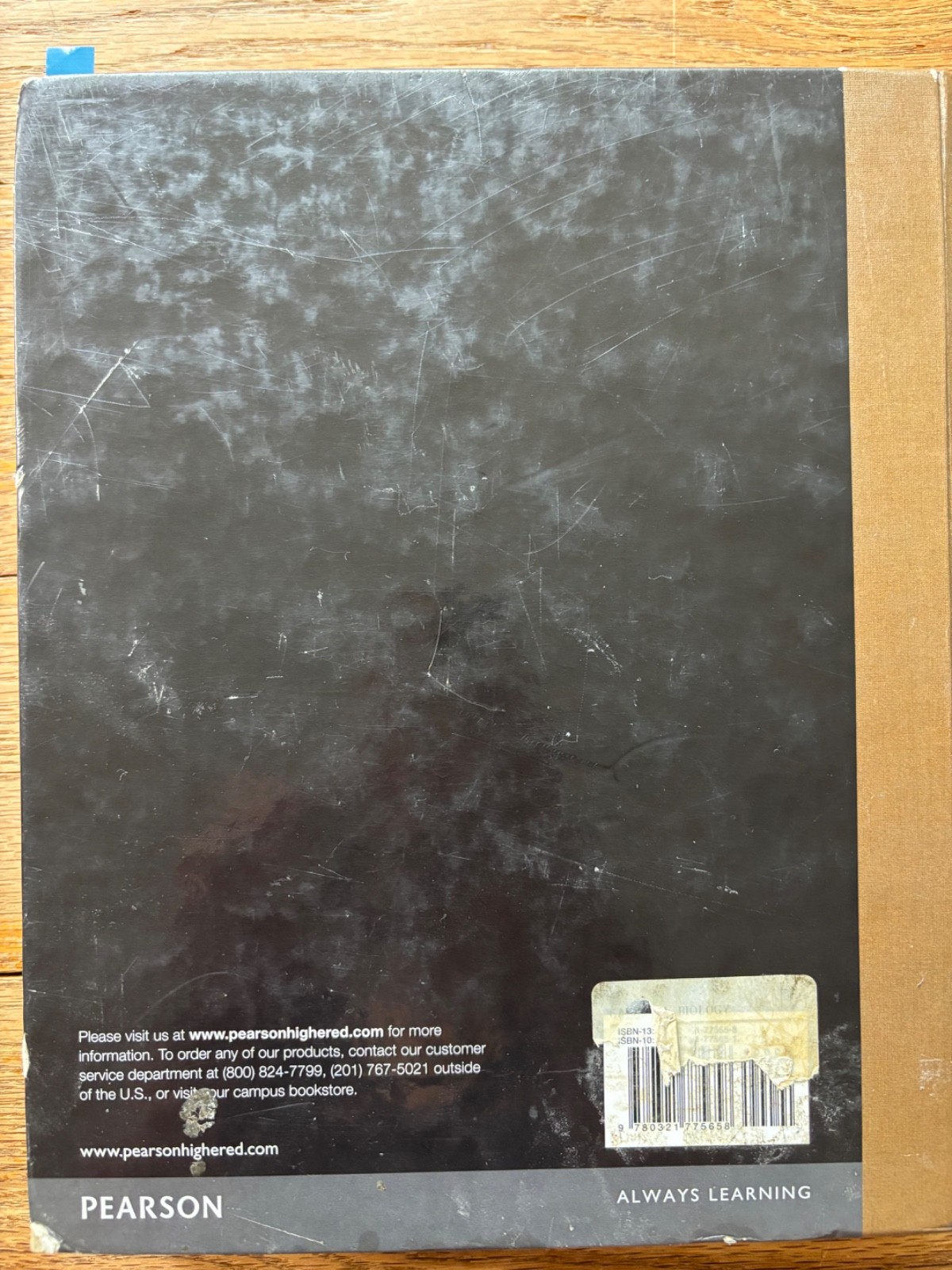 Campbell Biology by Peter V. Minorsky, Robert B. Jackson, Michael L. Cain, Lisa