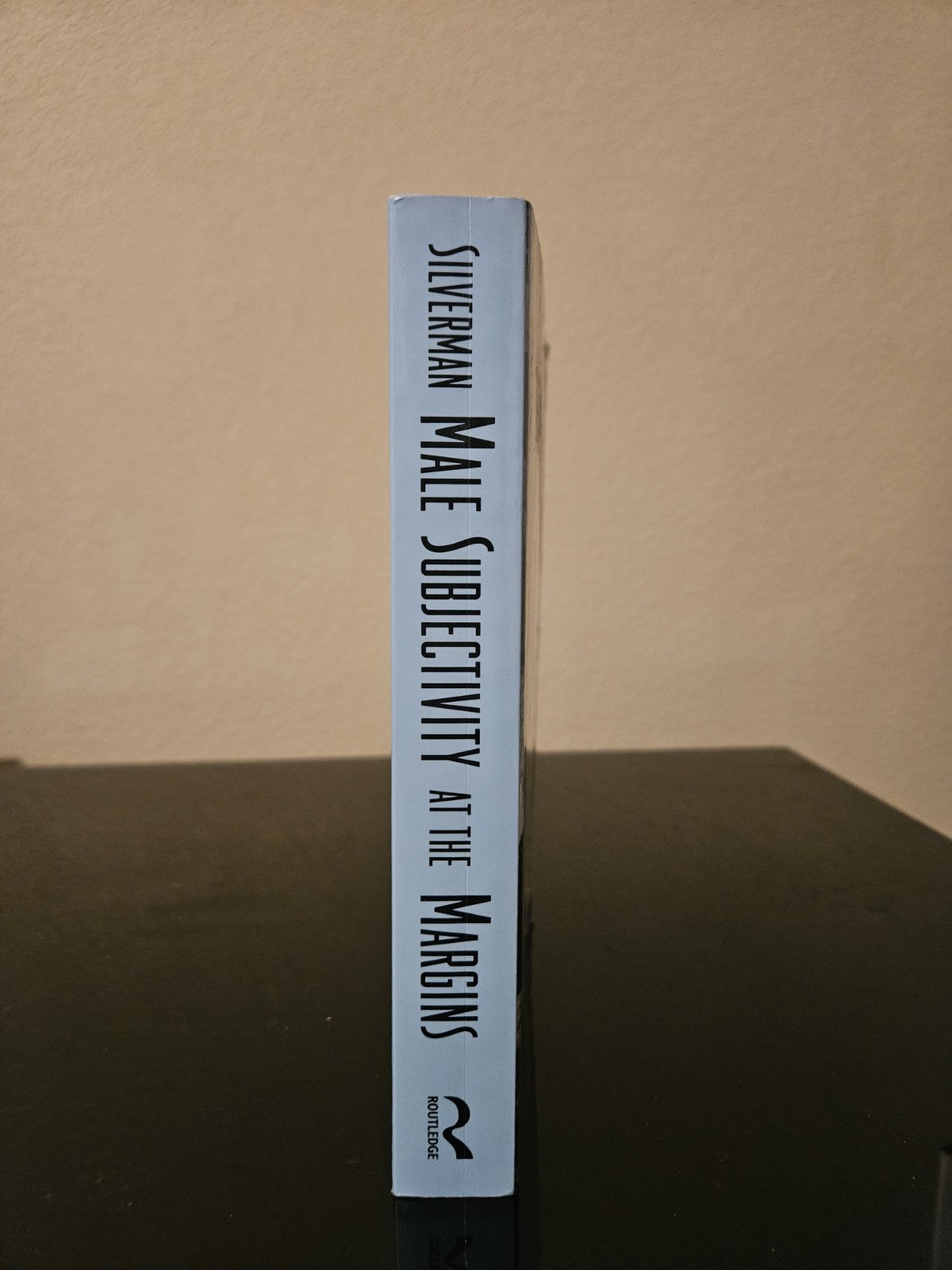 Male Subjectivity at the Margins by Kaja Silverman (1992, Uk-B Format Paperback)