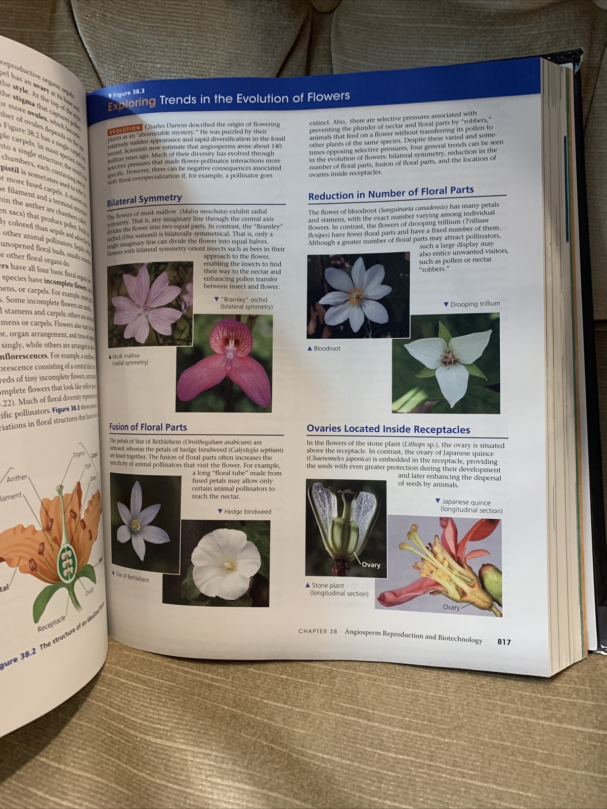 Campbell Biology by Lisa A. Urry, Peter V. Minorsky, Robert B. Jackson, Michael