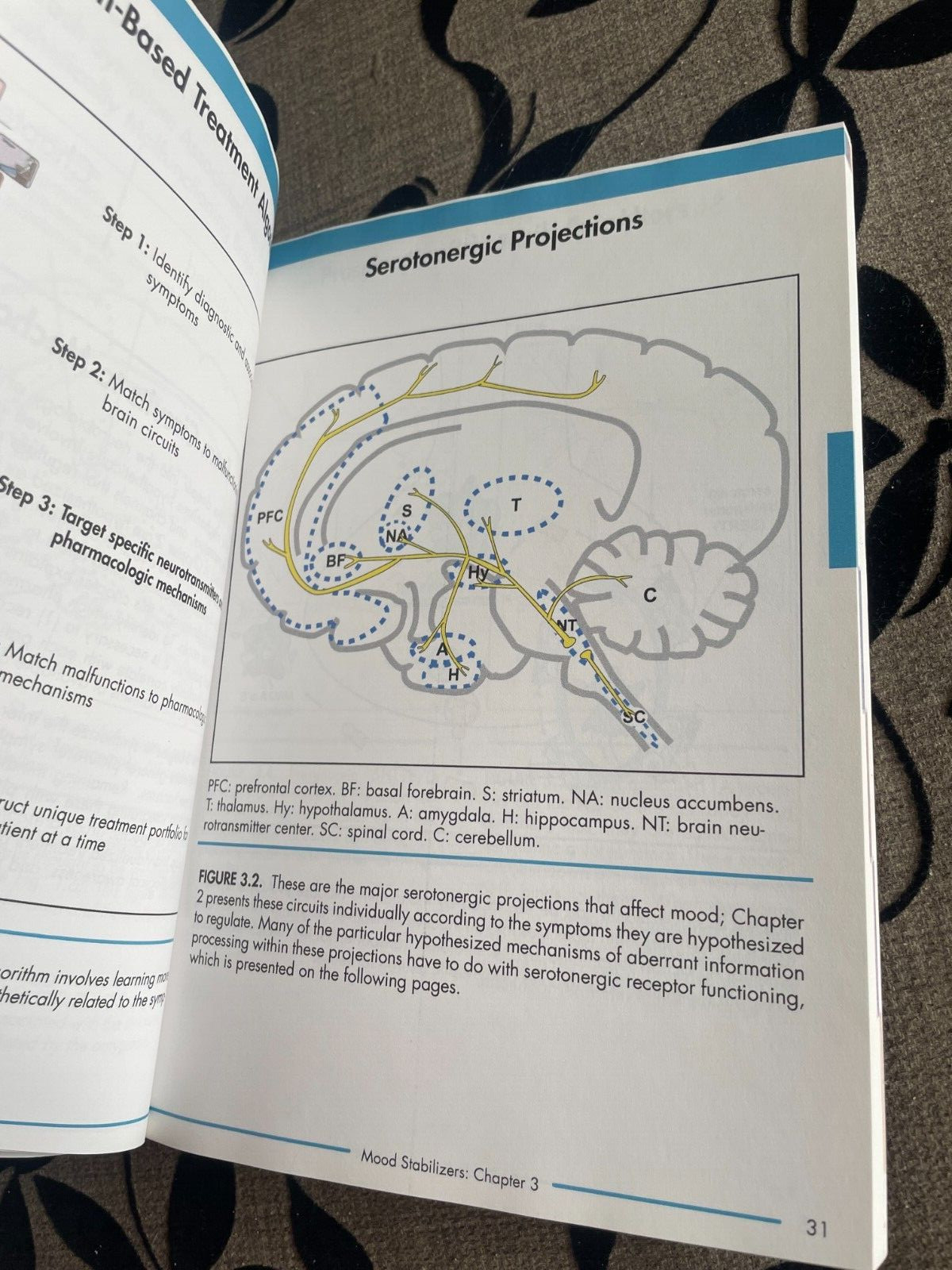 STEPHEN M. STAHL. STAHL’S ILLUSTRATED. MOOD STABILIZERS. 9780521758499