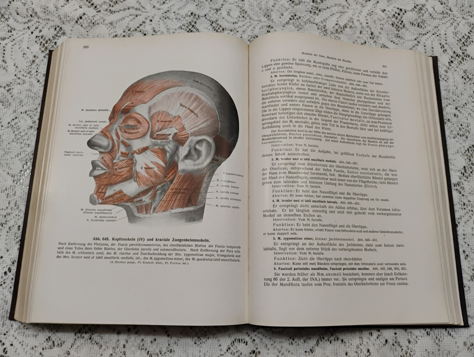 Atlas Of Human Anatomy 1952 Vol 1 In German Skeletal, Muscular General systems