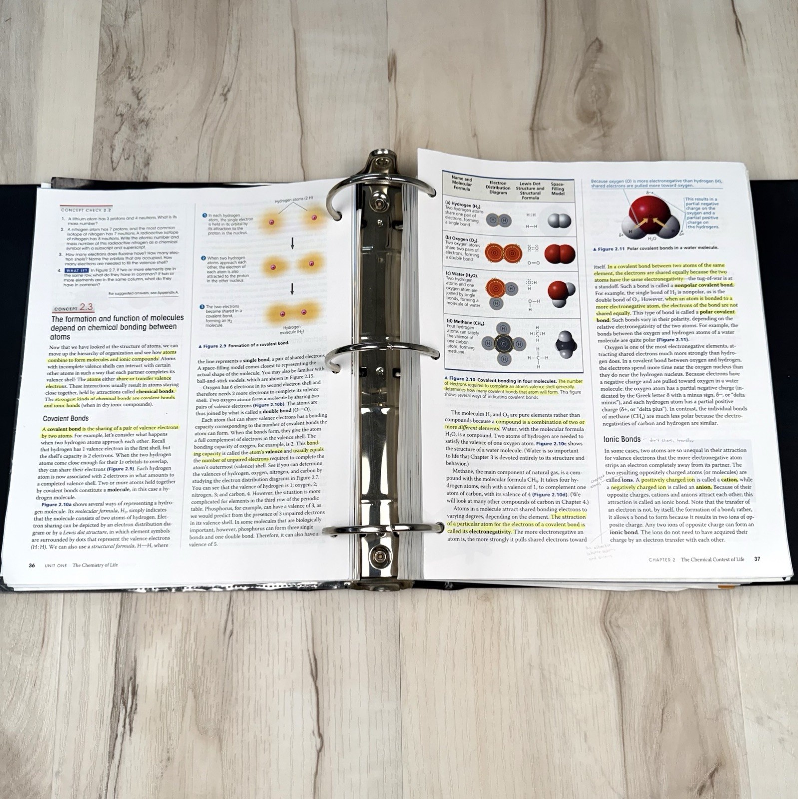 Campbell Biology a la Carte 10th Edition Peter Minorsky 2014 Ringbound/Looseleaf