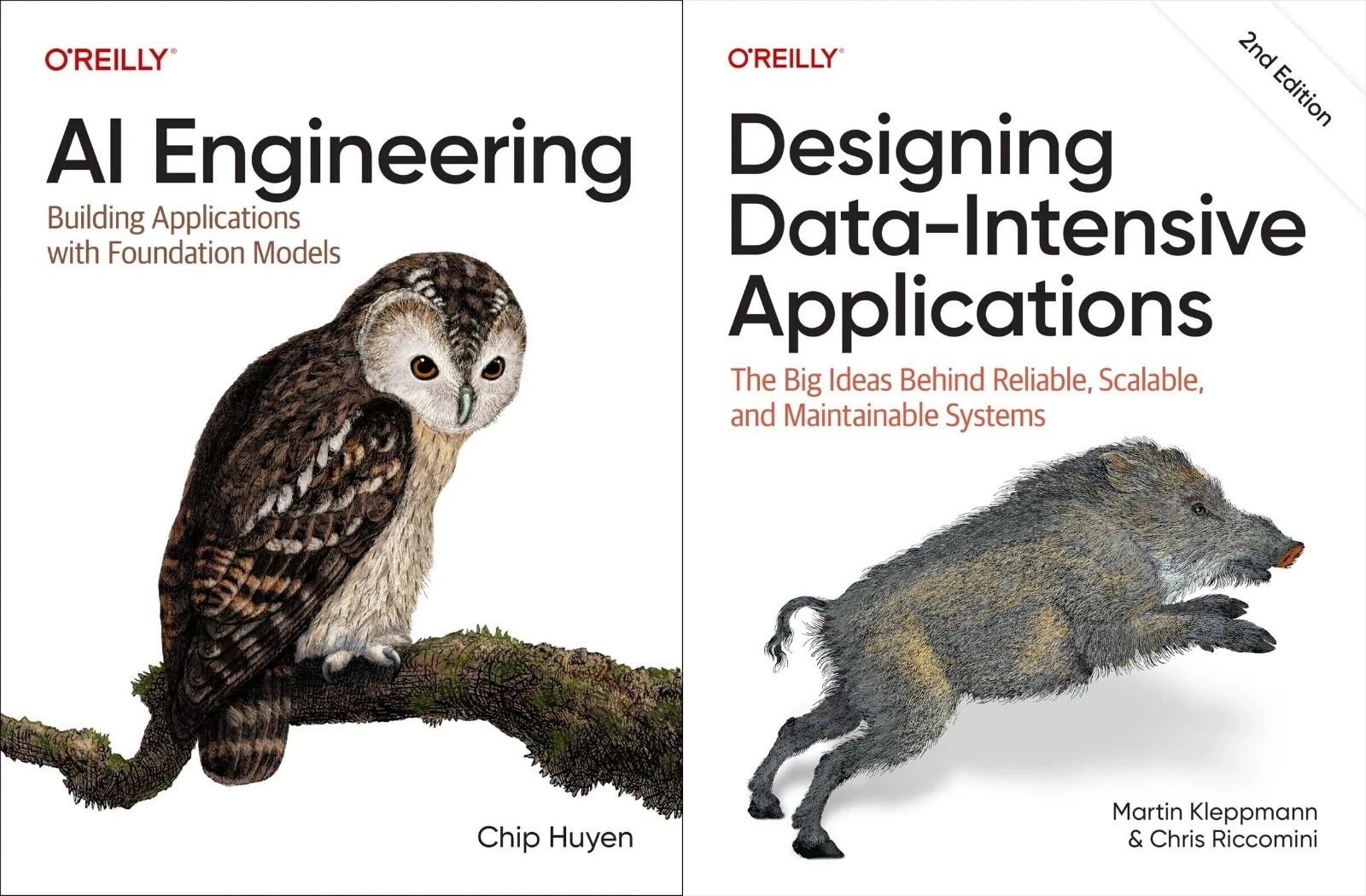 DESIGINING DATA INTENSIVE AND AI ENGINEERING ( 2 BOOKS COMBO OFFER )