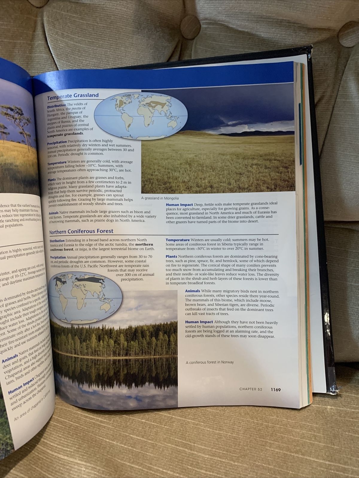Campbell Biology by Lisa A. Urry, Peter V. Minorsky, Robert B. Jackson, Michael