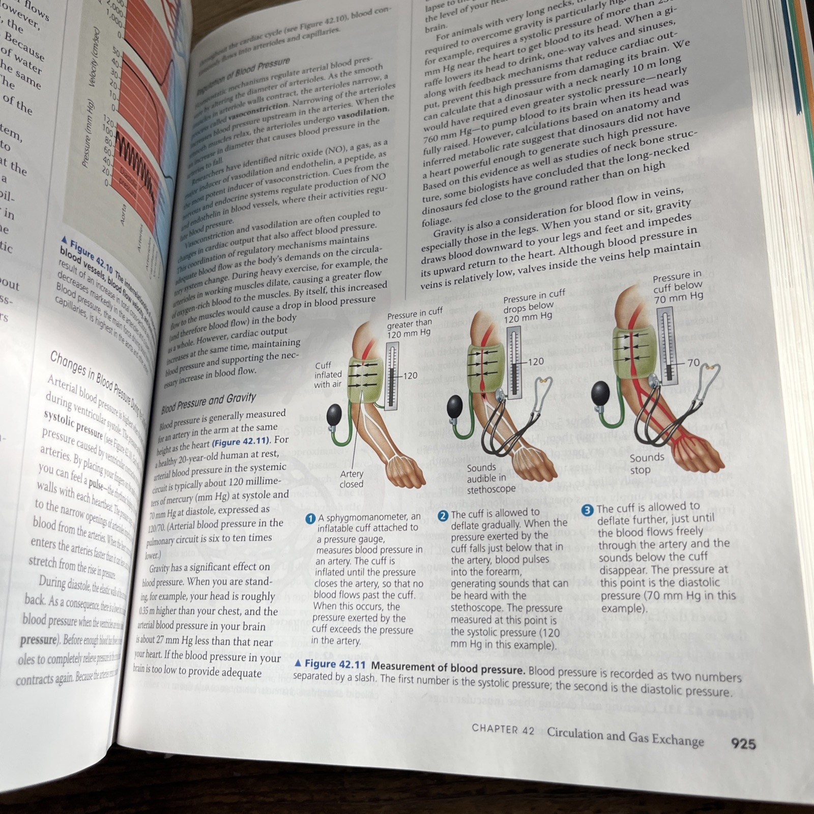 Campbell Biology by Peter V. Minorsky, Robert B. Jackson, Michael L. Cain, Lisa