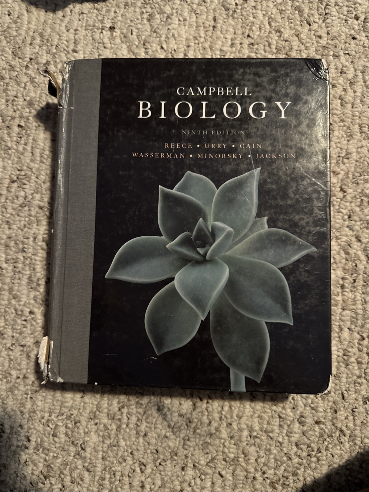 Campbell Biology by Peter V. Minorsky, Robert B. Jackson, Michael L. Cain, Lisa