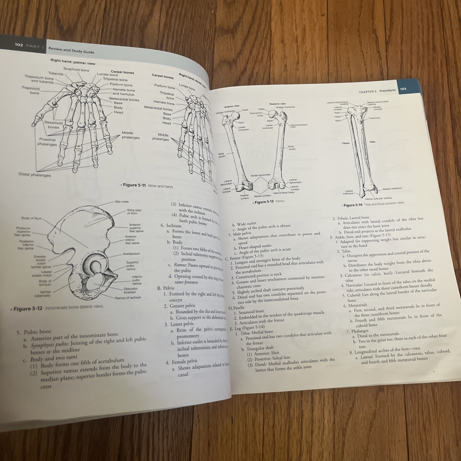 Mosby’s Comprehensive Review of Radiography: The Complete Study Guide 8th Ed.