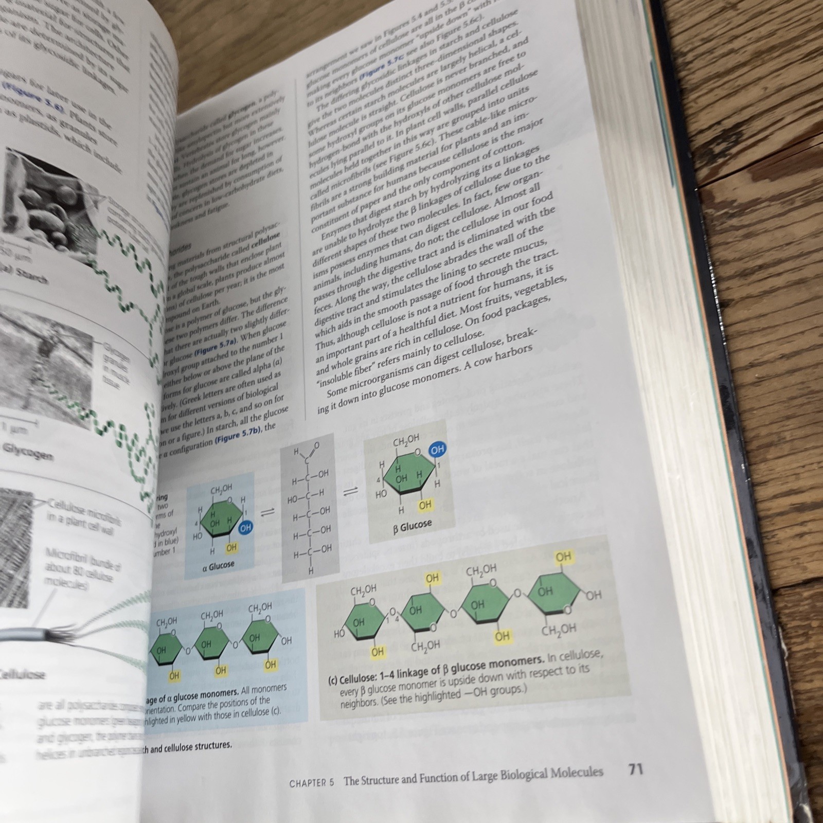 Campbell Biology by Peter V. Minorsky, Robert B. Jackson, Michael L. Cain, Lisa