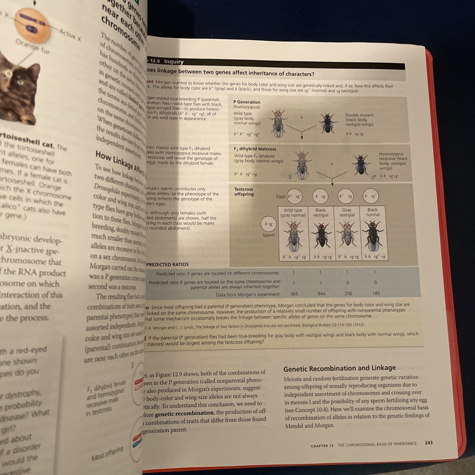Campbell Biology in Focus, Books a la Carte Edition by Peter V. Minorsky,…