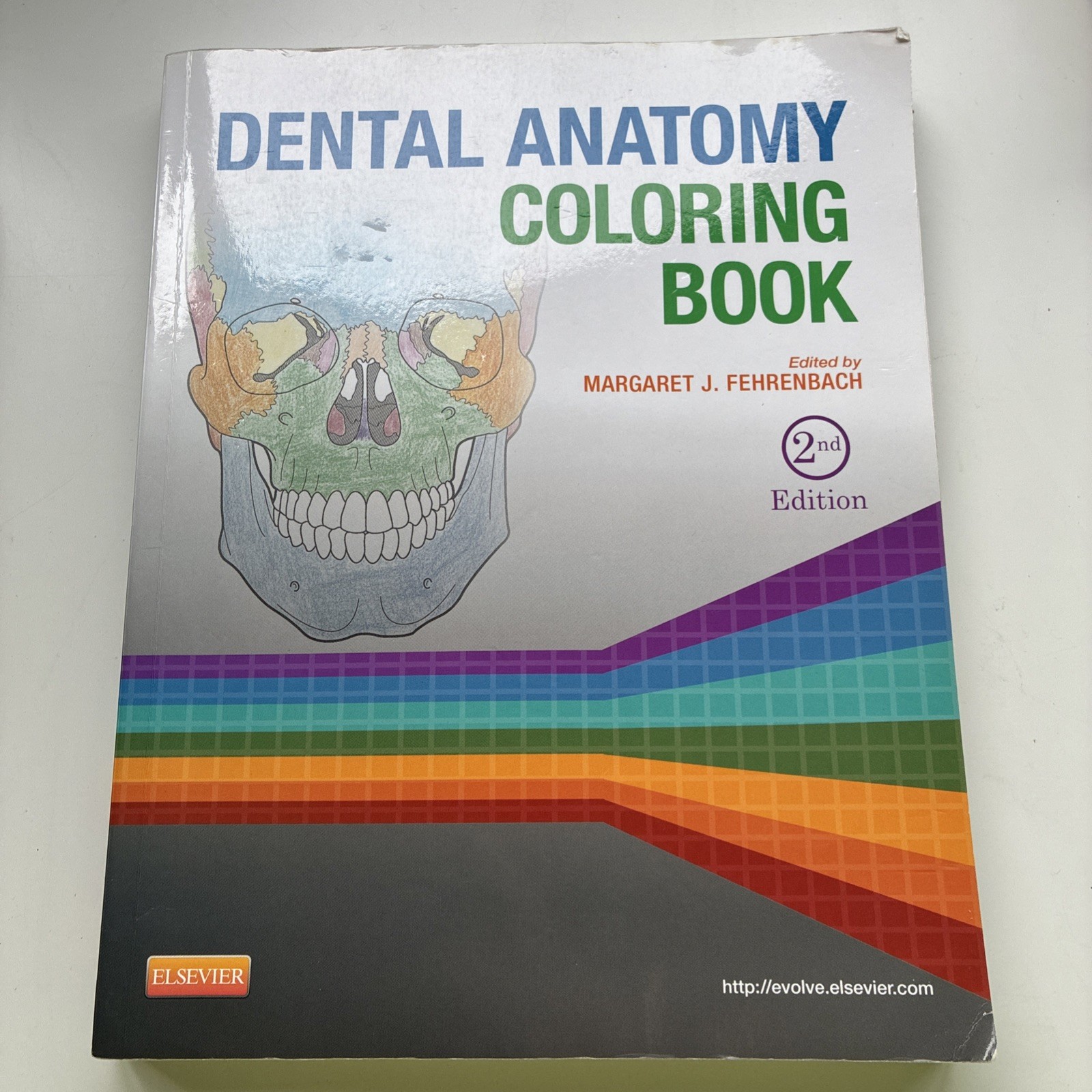 Dental Anatomy Coloring Book