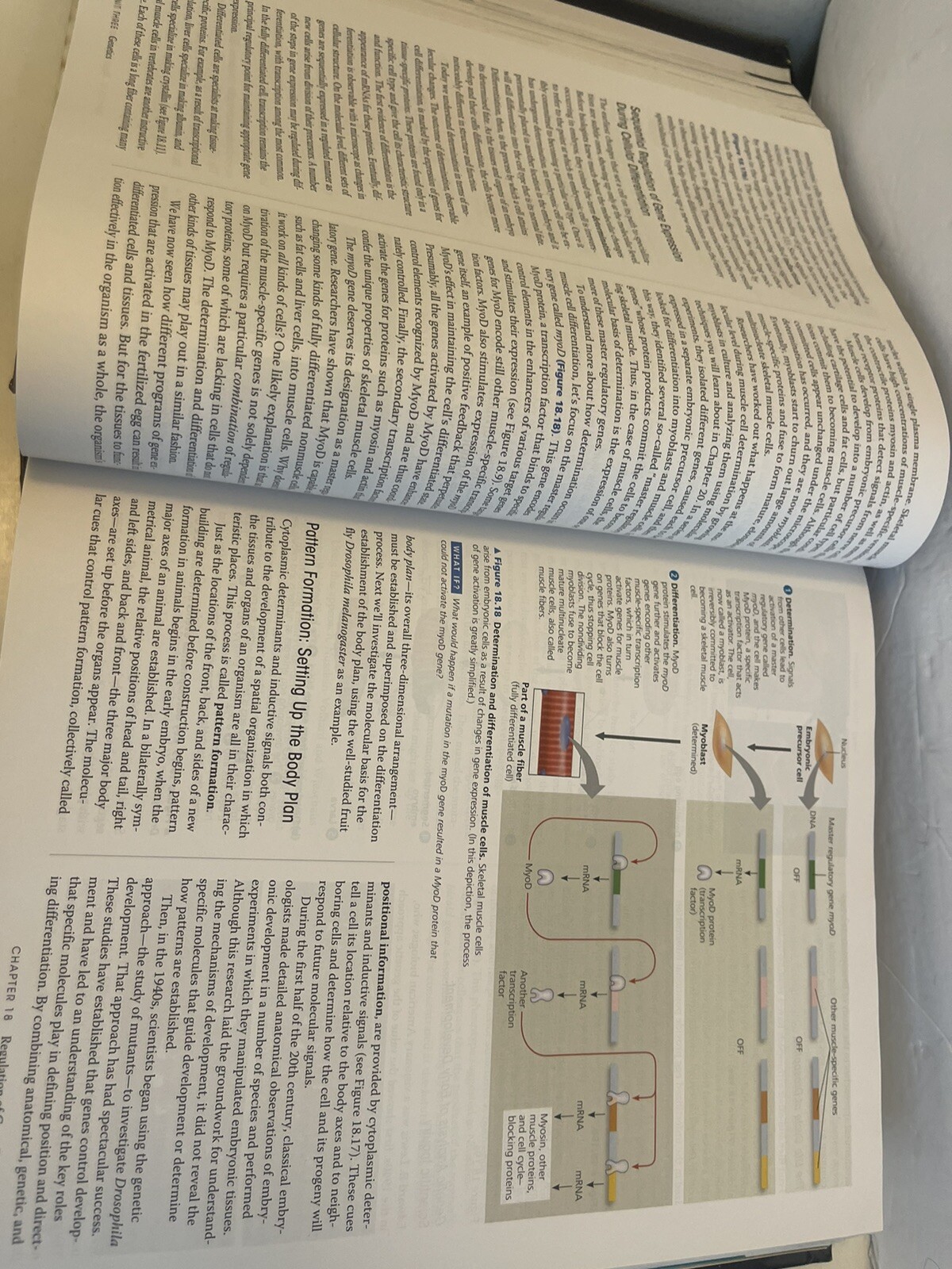 Campbell Biology by Lisa A. Urry, Peter V. Minorsky, Robert B. Jackson, Michael