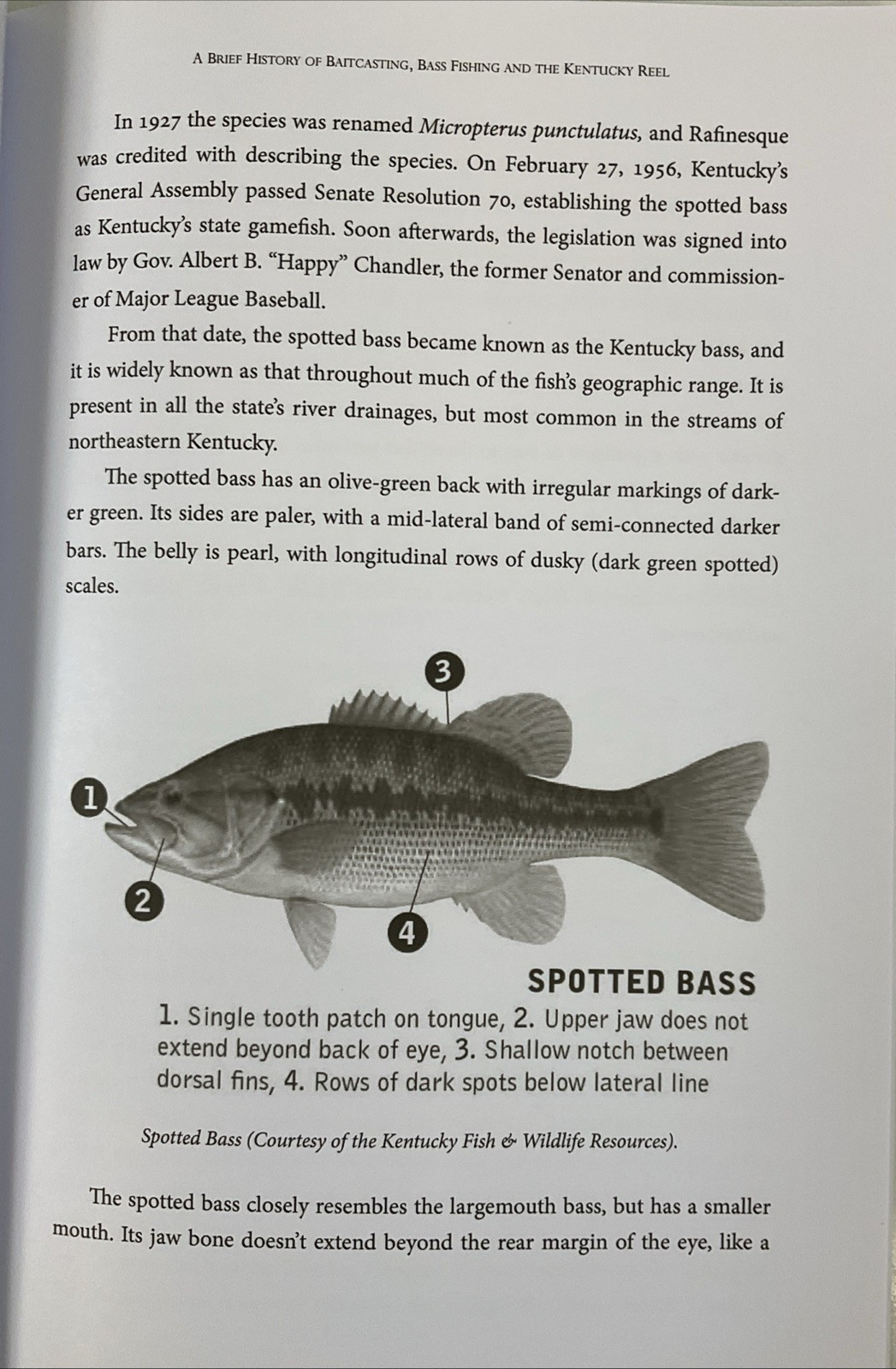 A Brief History of Baitcasting, Bass Fishing And The Kentucky Reel