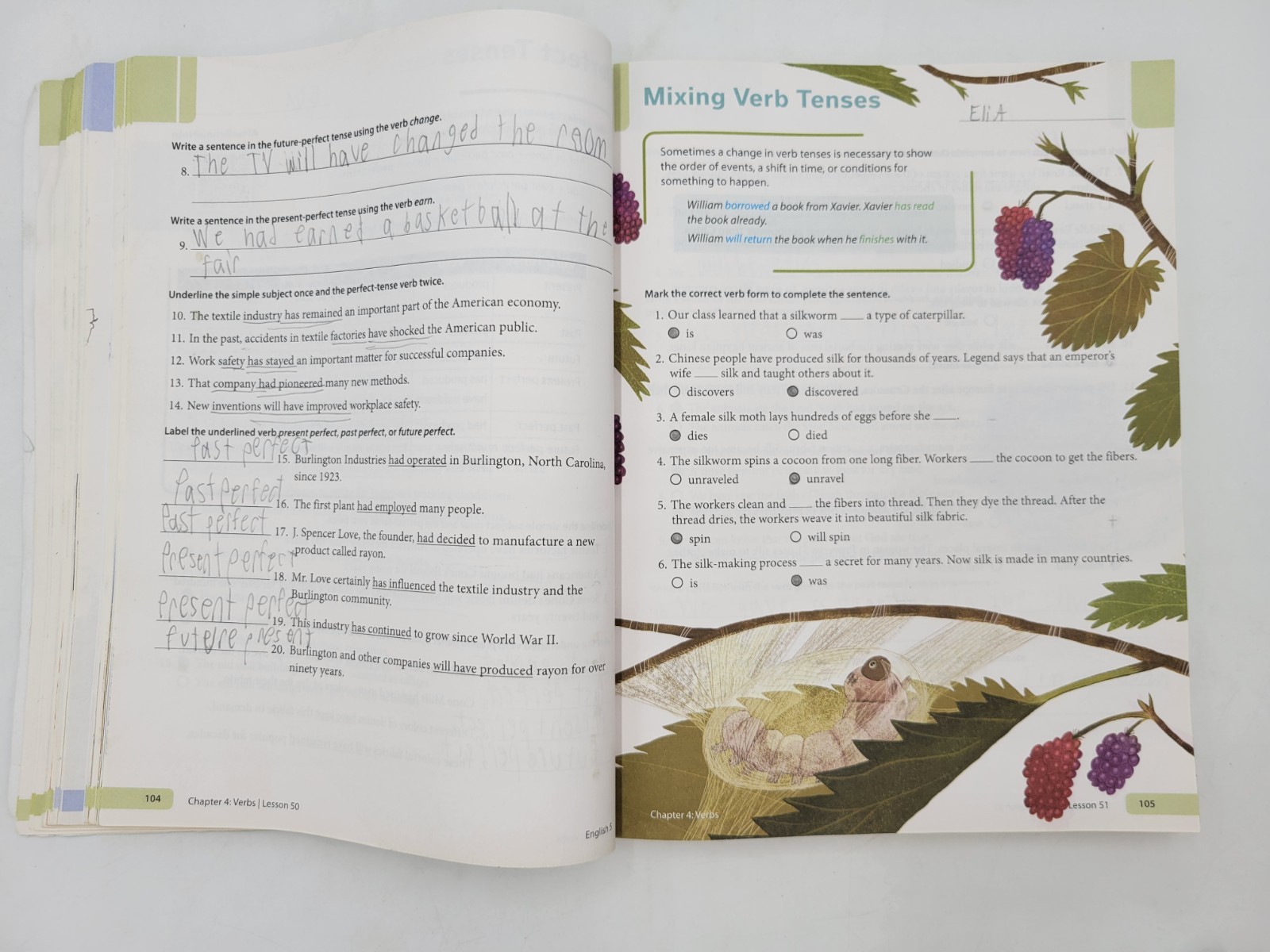 BJU Press English 5 Worktext (3rd edition) 532432 Paperback WITH WRITING