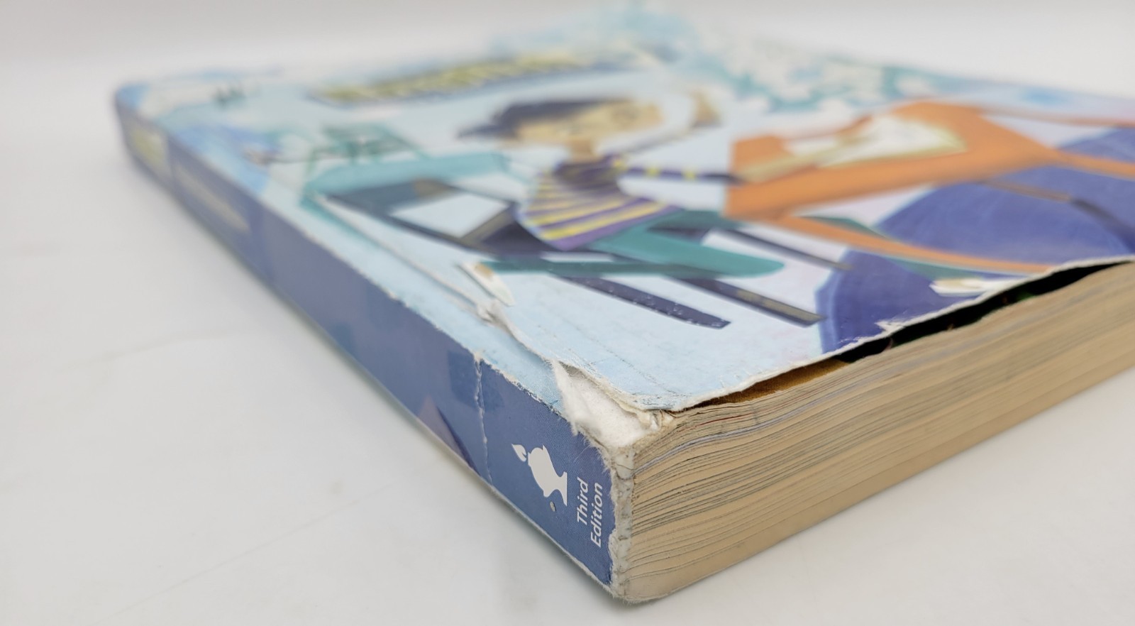 BJU Press English 5 Worktext (3rd edition) 532432 Paperback WITH WRITING