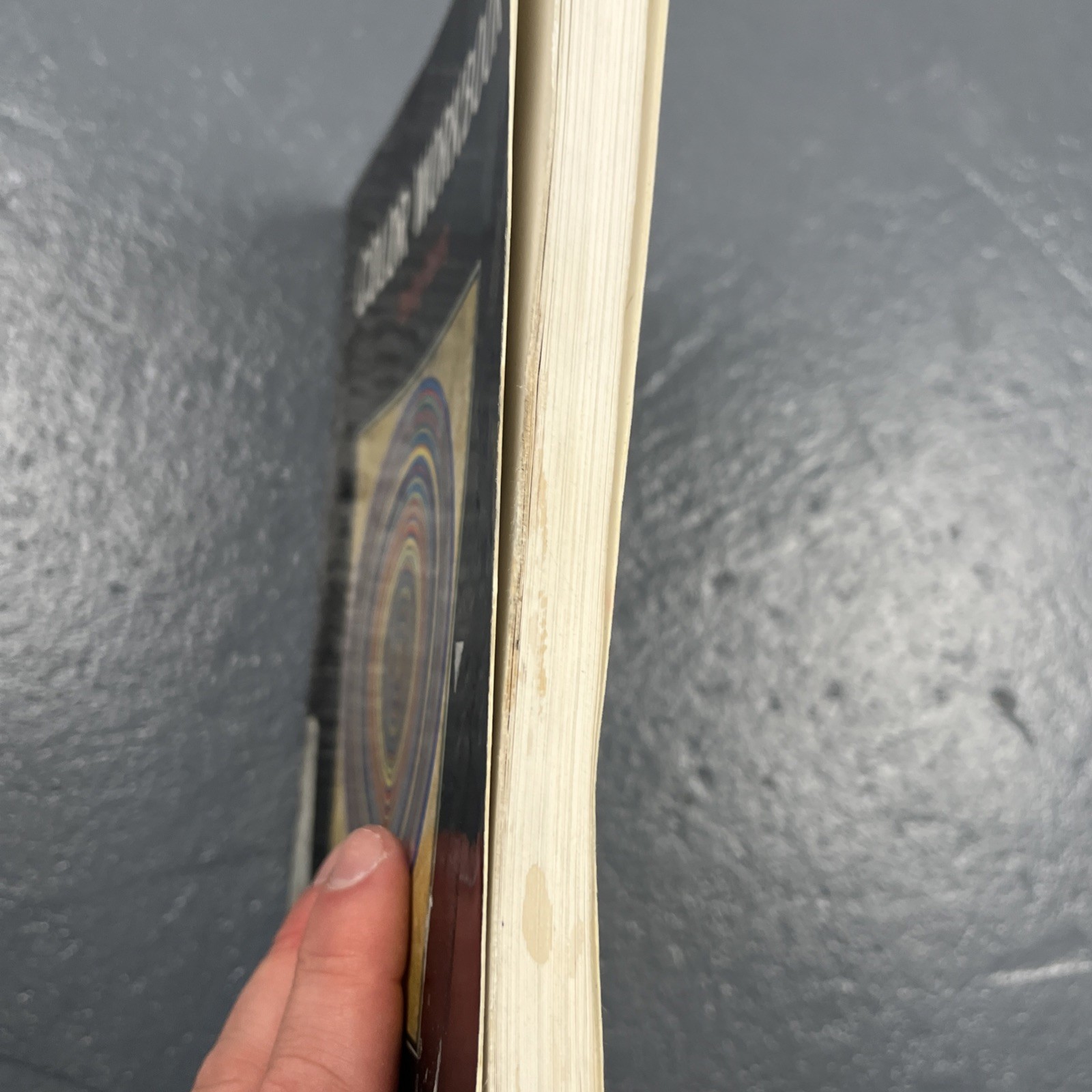 Color Workbook – Paperback, by Koenig M.F.A. Becky – Acceptable SEE IMAGES