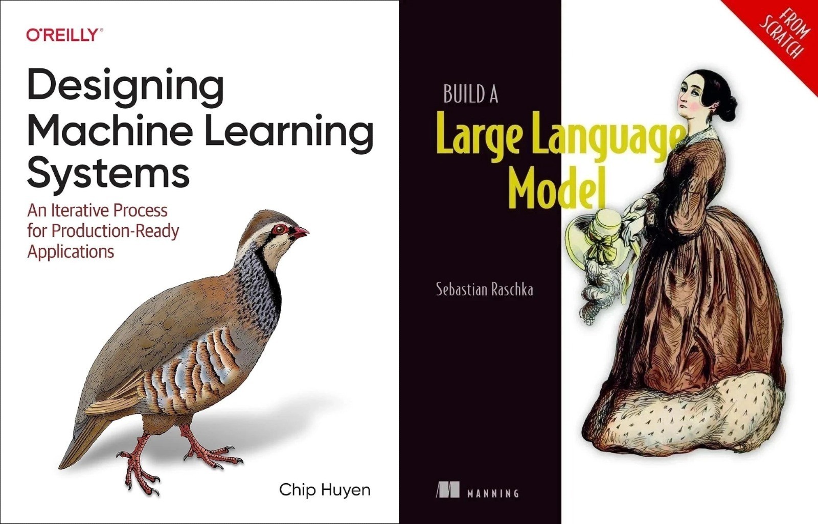DESIGNING MACHINE LEARNING AND BUILD A LARGE LANGAUAGE MODEL ( 2 BOOKS COMBO )