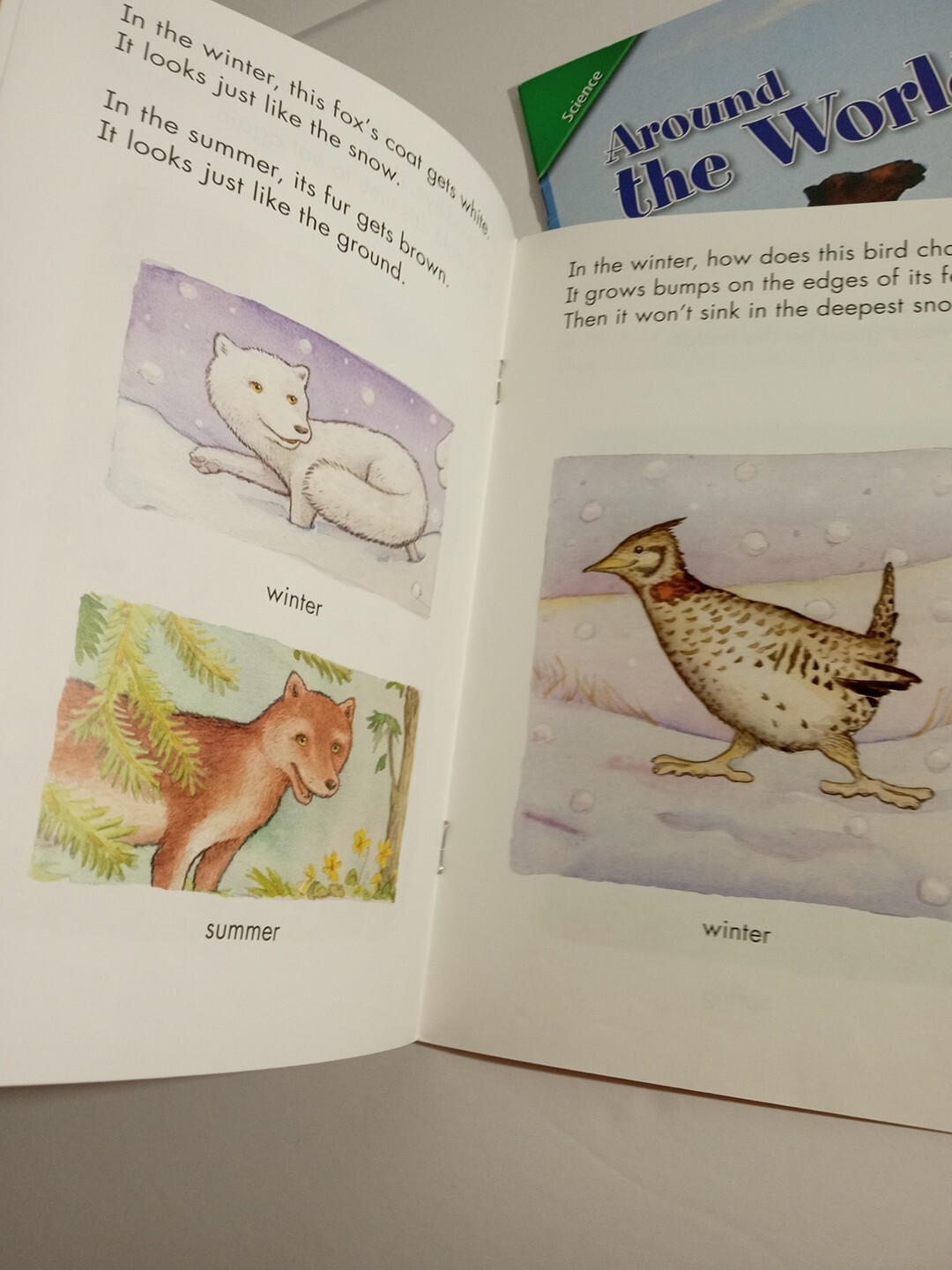 Grade 1 Reading Books Scott Foresman Pearson LOT 9 Readers Set Science Learning
