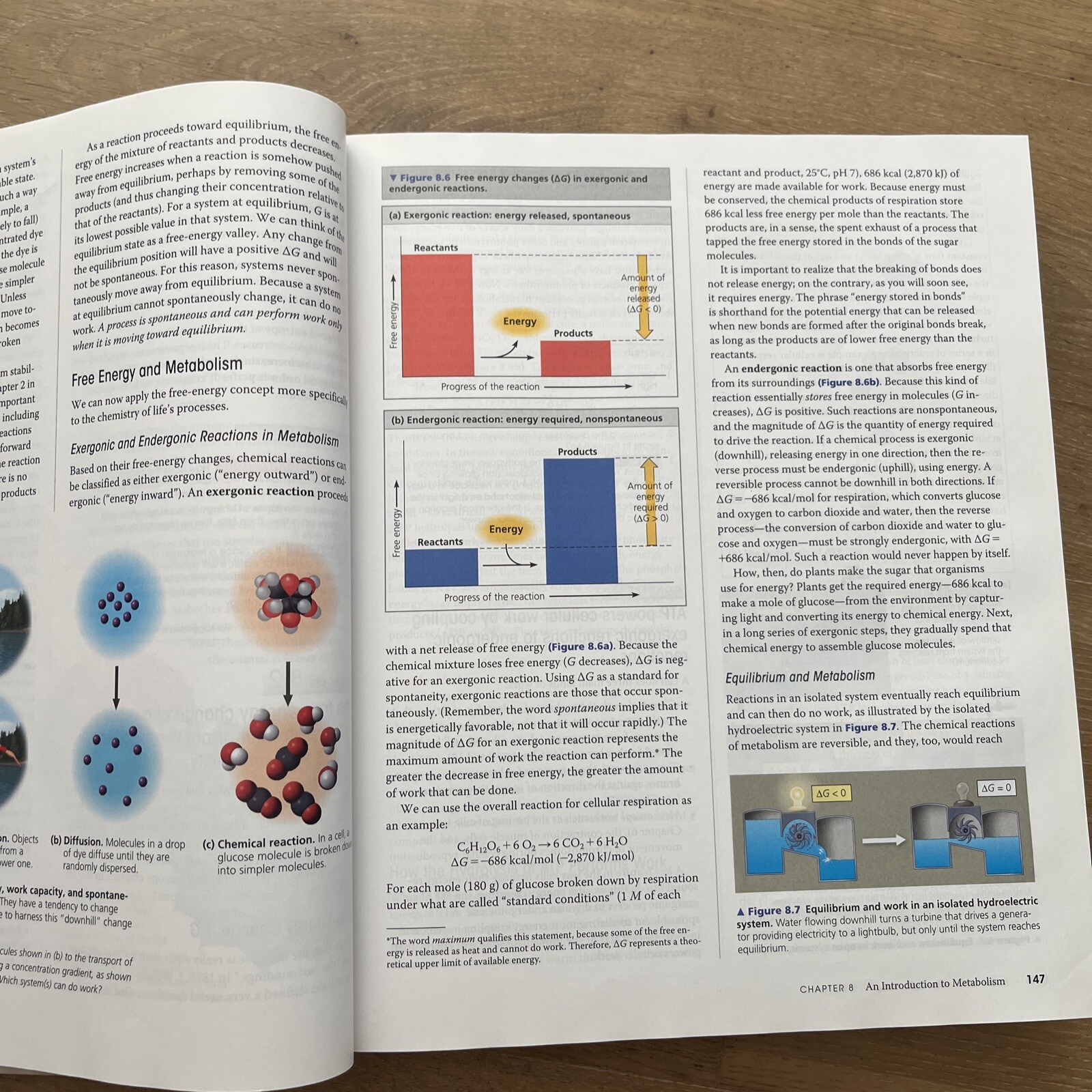Campbell Biology by Peter V. Minorsky, Robert B. Jackson, Michael L. Cain, Lisa