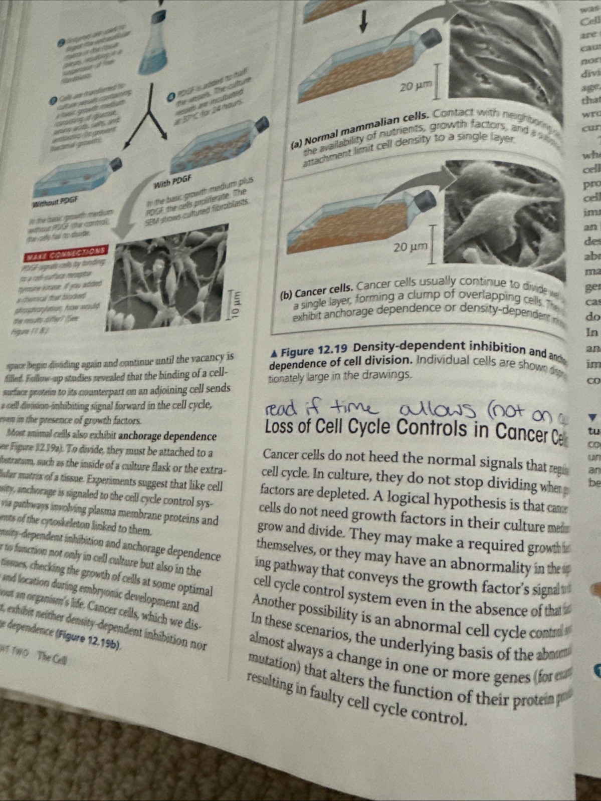 Campbell Biology by Peter V. Minorsky, et al (2013, Hardcover)
