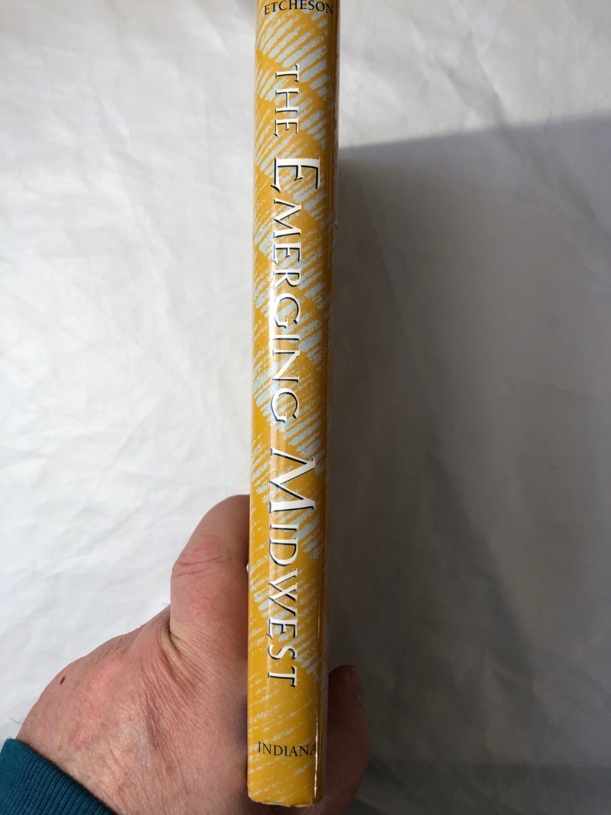 The Emerging Midwest by Nicole Etcheson
