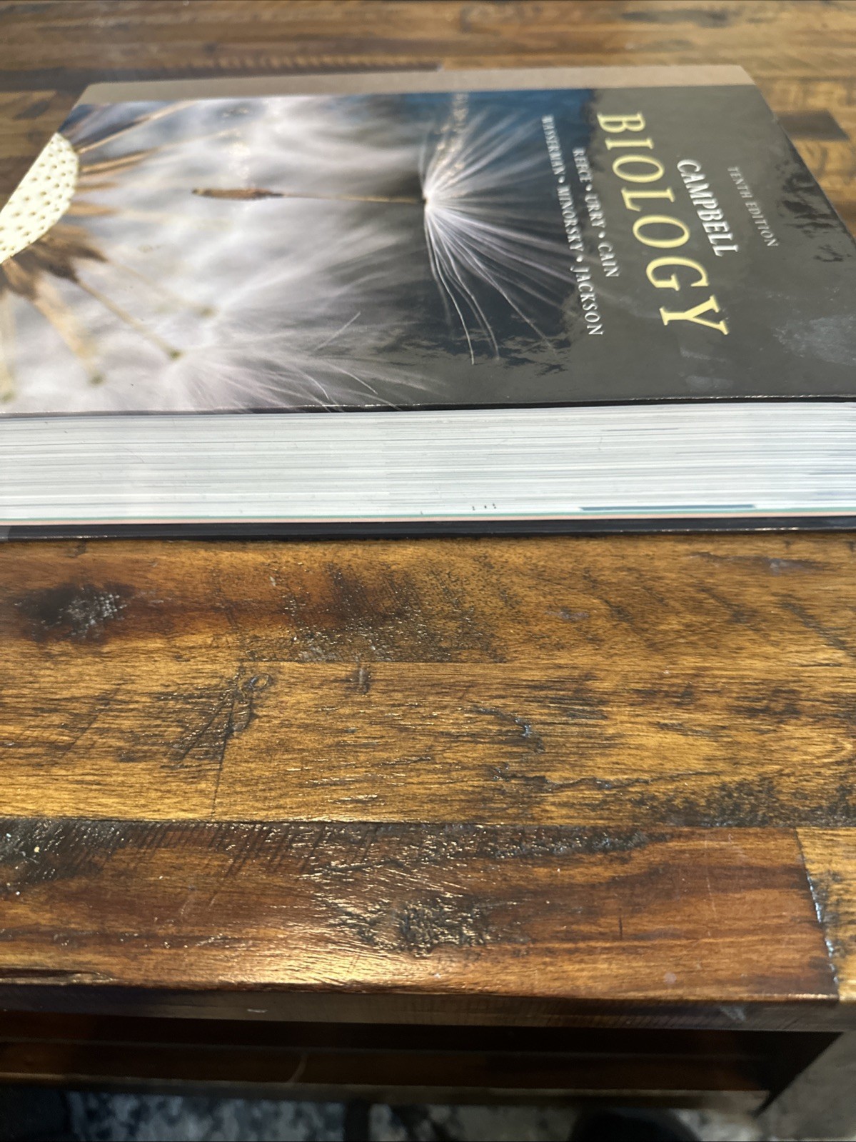 Campbell Biology by Peter V. Minorsky, Robert B. Jackson, Michael L. Cain Book