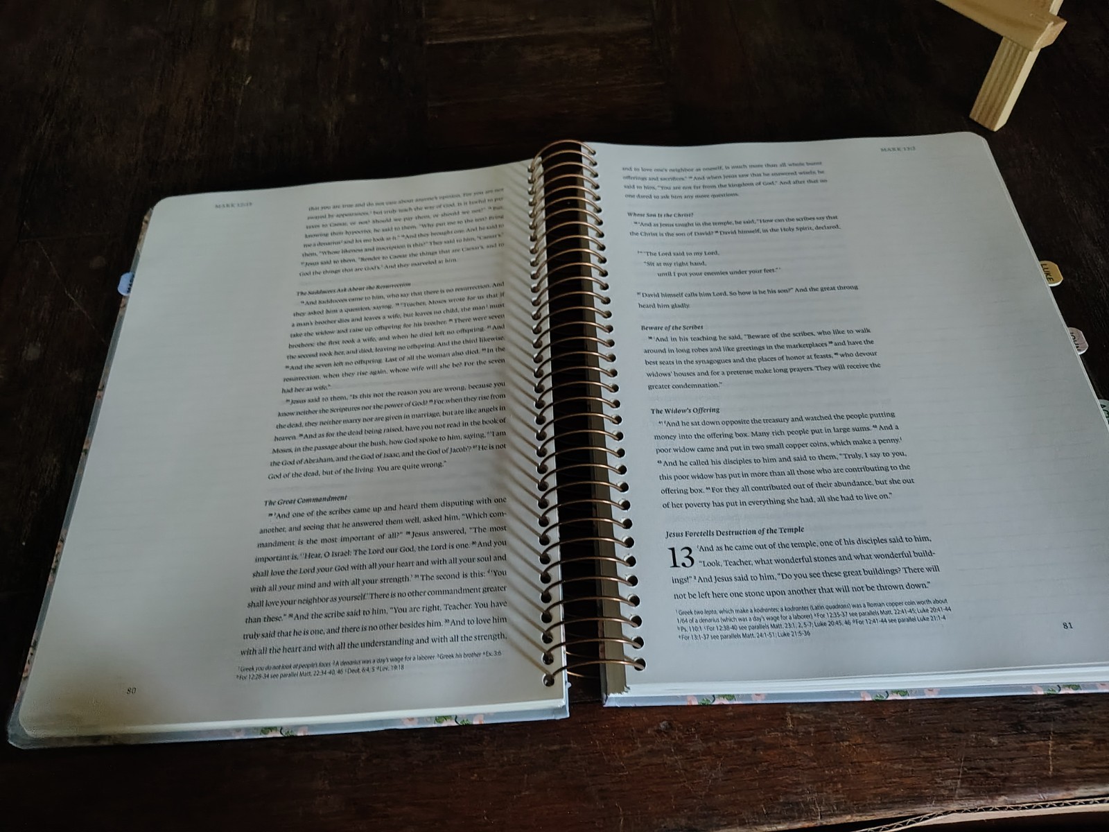 ESV Spiral-Bound Journaling Bible New Testament Hardcover Artwork Lulie Wallace