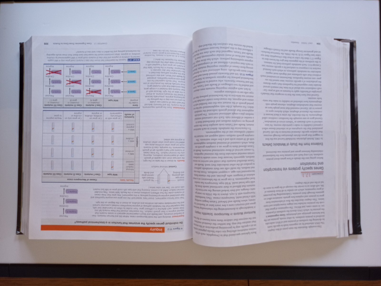 Campbell Biology by Peter V. Minorsky, Robert B. Jackson, Michael L. Cain, Lisa