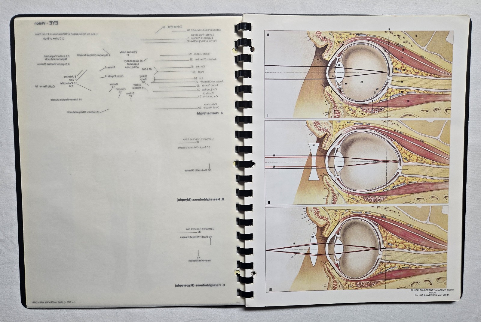 Schick Notebook Charts Human Anatomy Softcover Spiral Bound Book (1987)